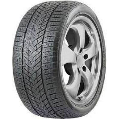 Зимові автошини 245/45 R20 103V XL Roadmarch WinterXPro 999