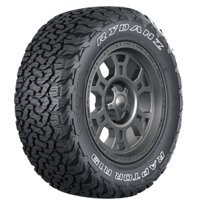 Всесезонні автошини 215/65 R16 96T XL Rydanz Raptor R19 OWL