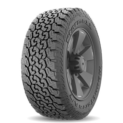 Всесезонні автошини 215/65 R16 103/100S Starmaxx MountTerra A/T RWL