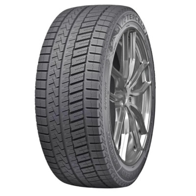 Зимові автошини 245/50 R20 102T Tercelo Frost Bite TW01