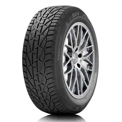 Зимові автошини 195/55 R16 87H Tigar Winter